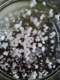 saltcrystals