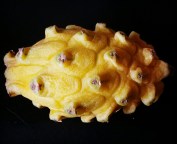 IMG_20160519_075306_resized